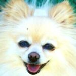 Profile picture of Jane Mathews